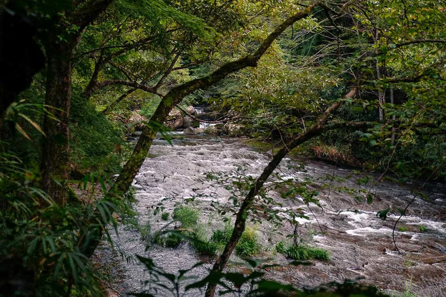 sanso-tensui-luxury-onsen-oita_07