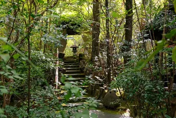 Sanso Tensui:A Luxury Onsen Retreat in the Forests of Oita