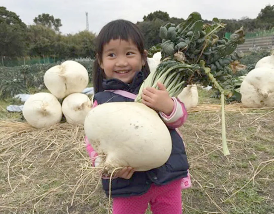 shadow-volcano-worlds-largest-daikon-radishes_03
