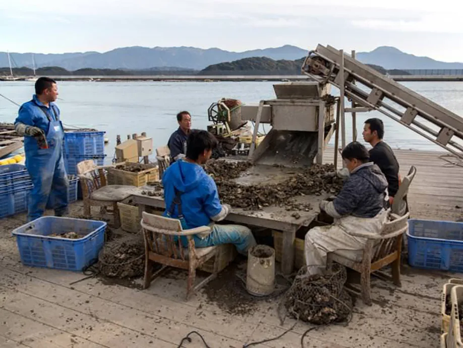 slow-down-itoshima-beach-cafes-and-unforgettable-sunsets_08