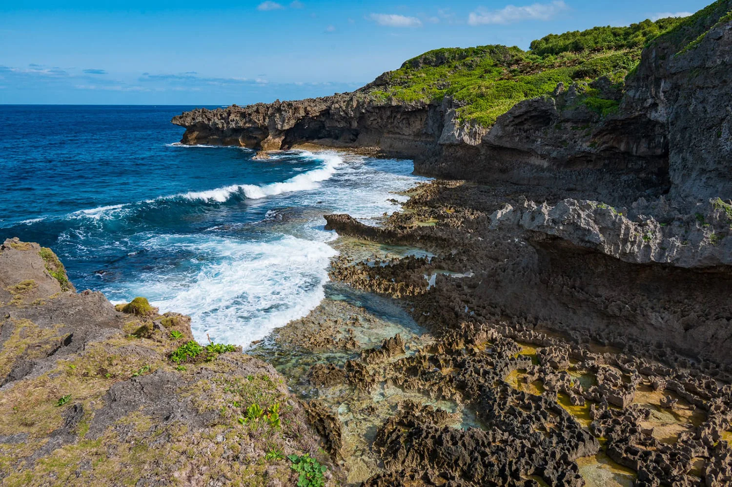 The Joyful Spirit of Tokunoshima