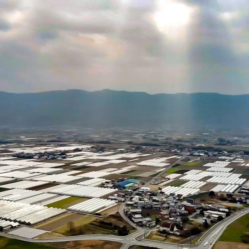 kurume img 02
