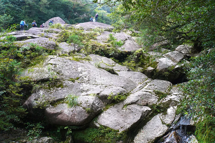 yahkushima-trekking_01