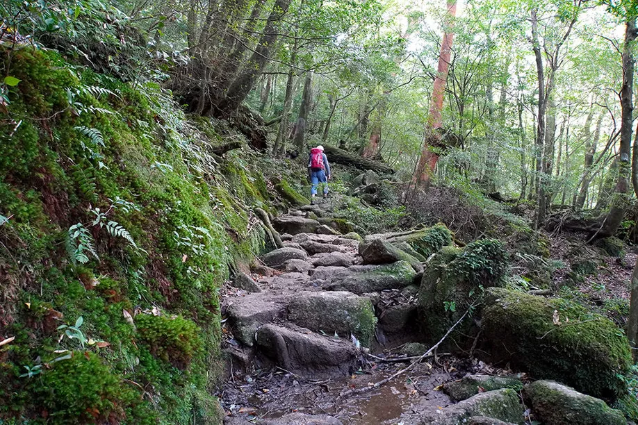yahkushima-trekking_03