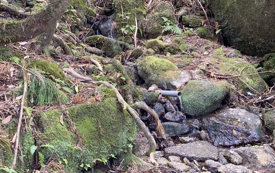 yahkushima-trekking_08