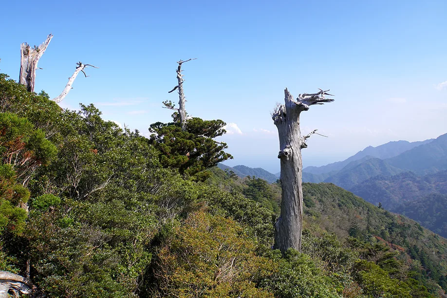 yahkushima-trekking_12