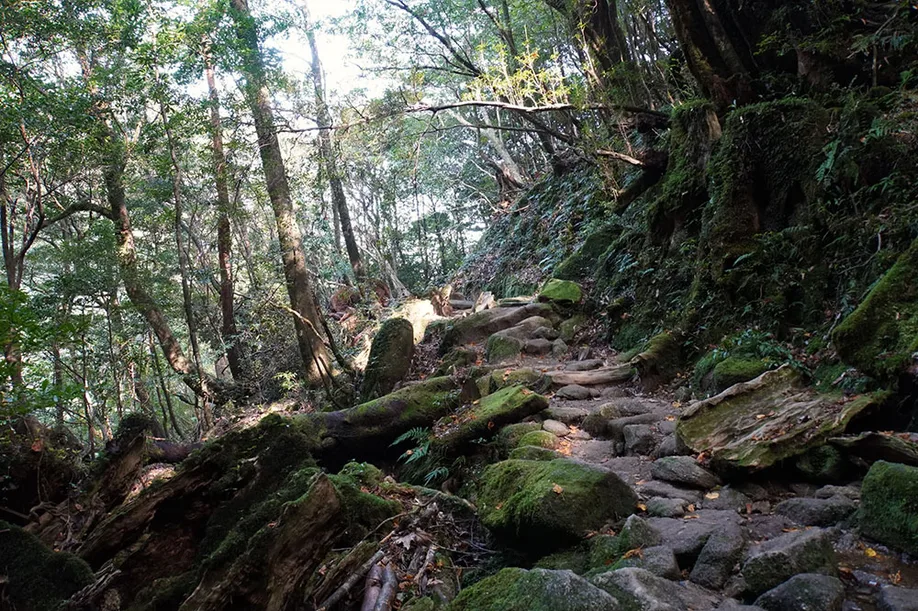 yahkushima-trekking_17