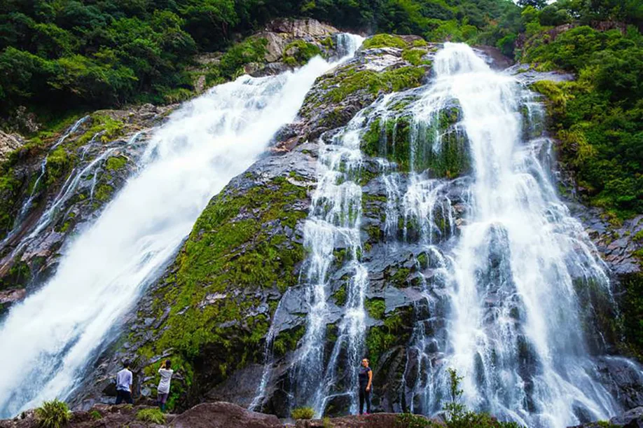 yakushima-feeling-island_02