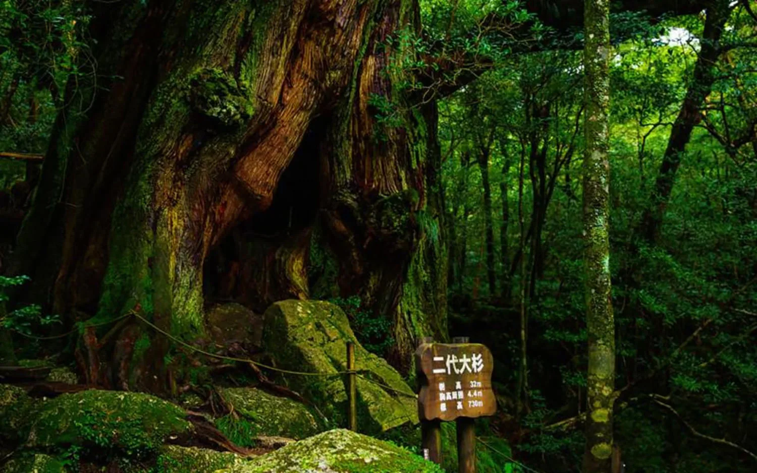 Yakushima
