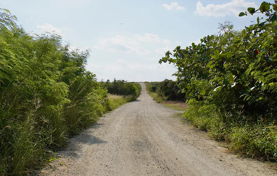 yoron-island_03