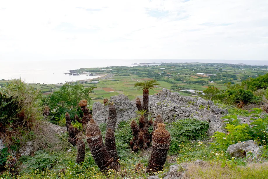yoron-island_11