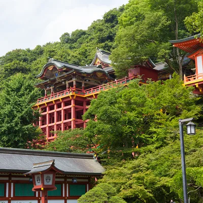 Yutoku Inari Shrine